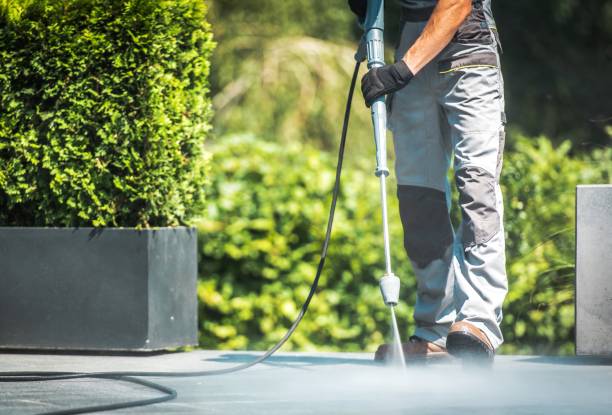 Animal Enclosure Cleaning in Desert Edge, CA